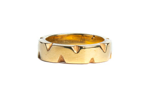THE GOLDEN TIGER RING